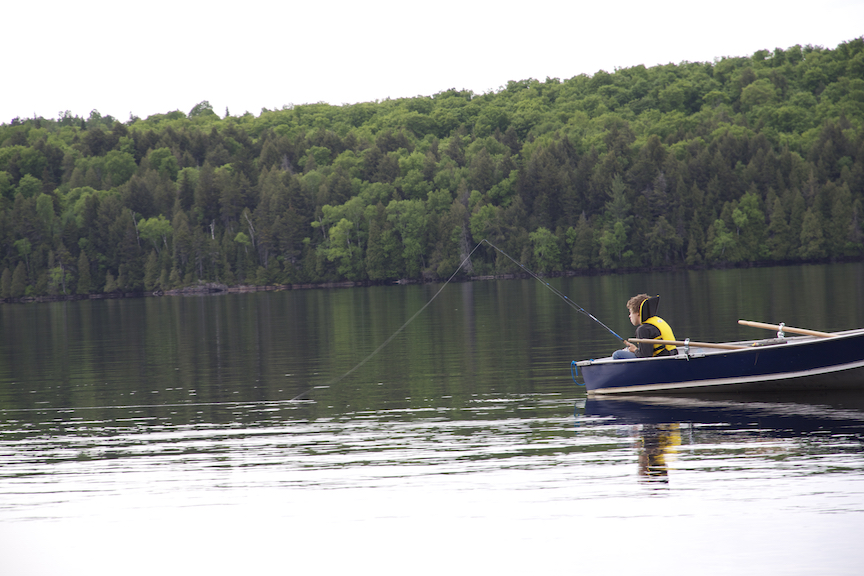 MLP_05.5 Fish & Aquatic Wildlife